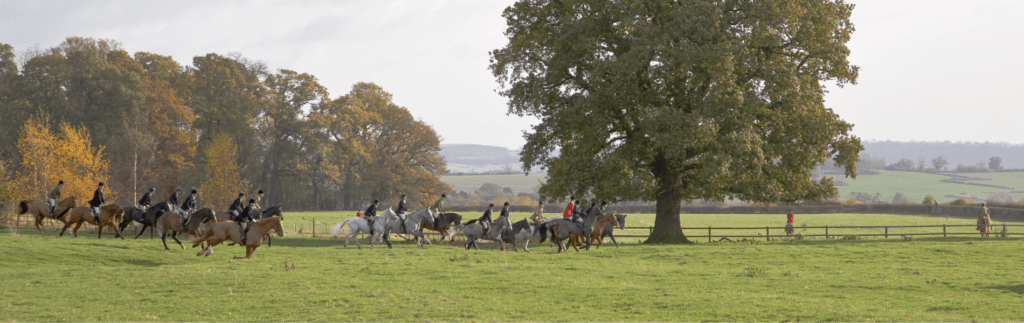 hunt galloping in field