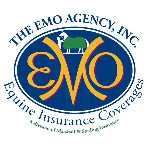 EMO Agency Logo