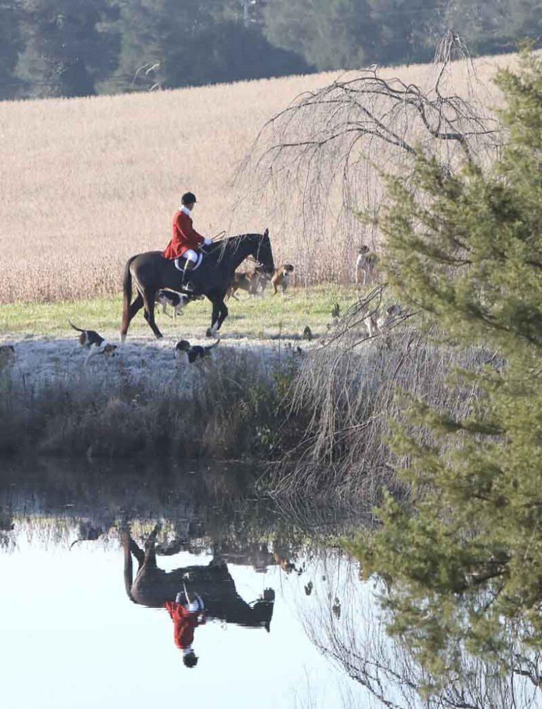 hunt horse and rider with hounds reflected in pond