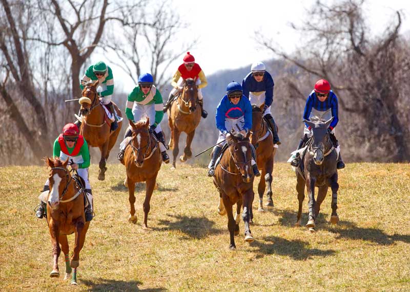 group of steeplechase riders running in a field