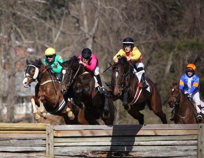 horses jumping fence in race