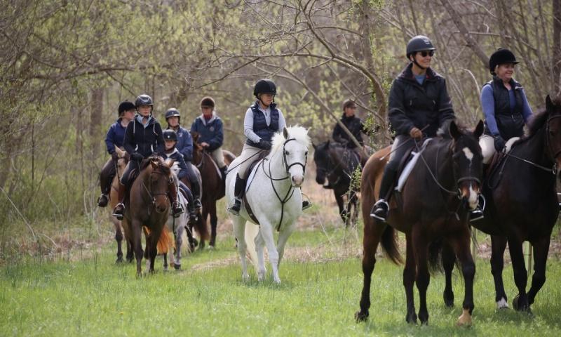 group of trail riders entering a field