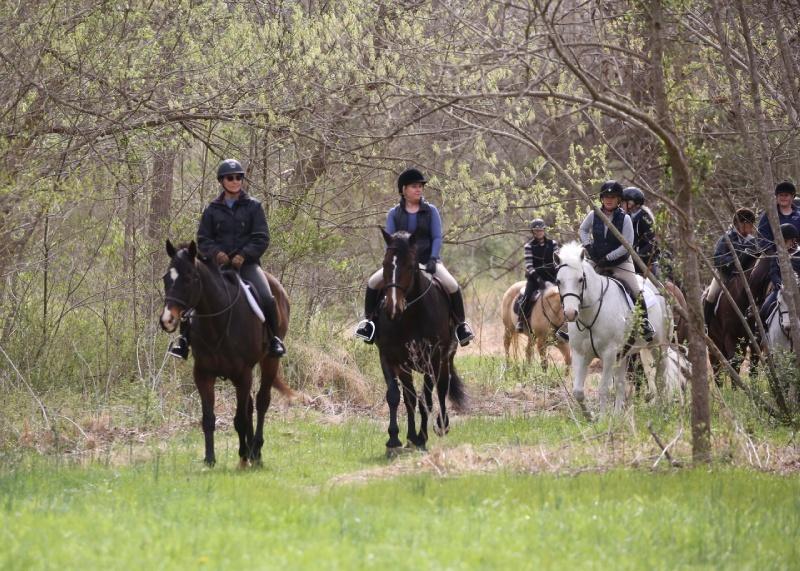 group of trail riders walking out of woods