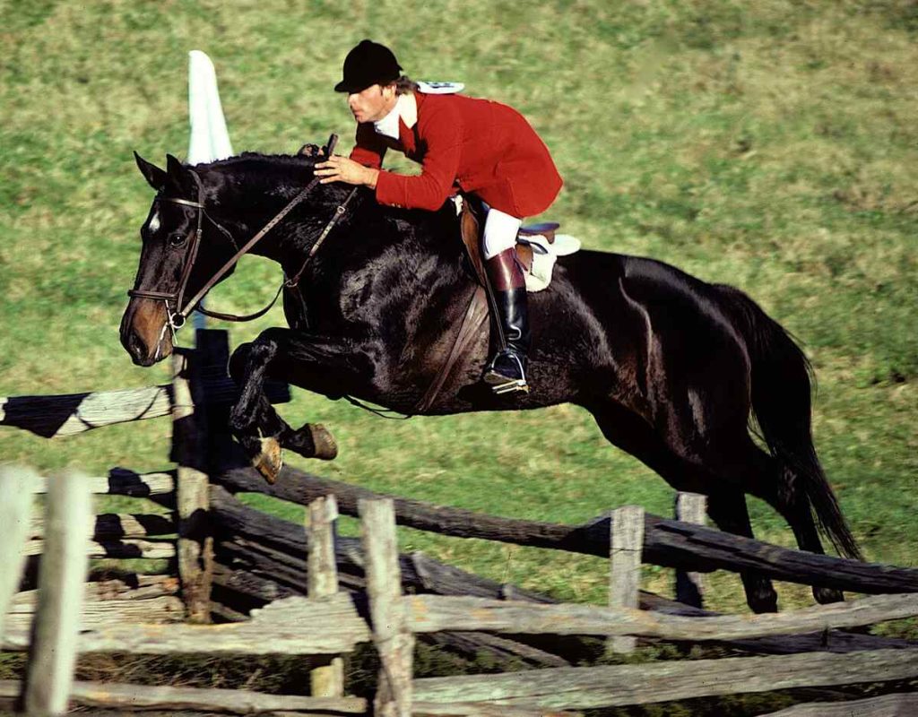 Man in red hunt coat on dark horse jumping timber fence