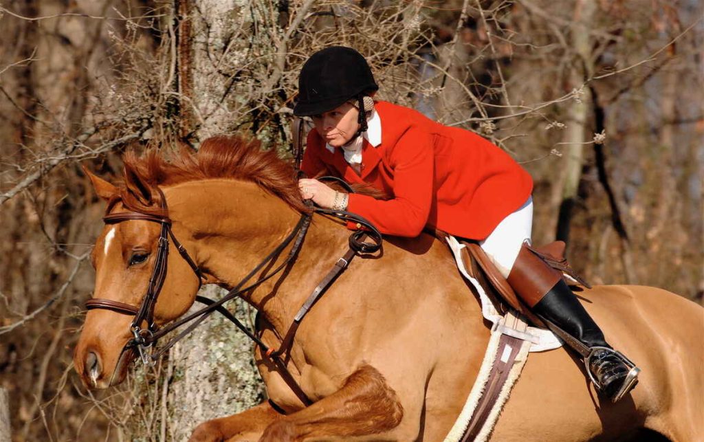 Clydetta Talbot jumping a horse