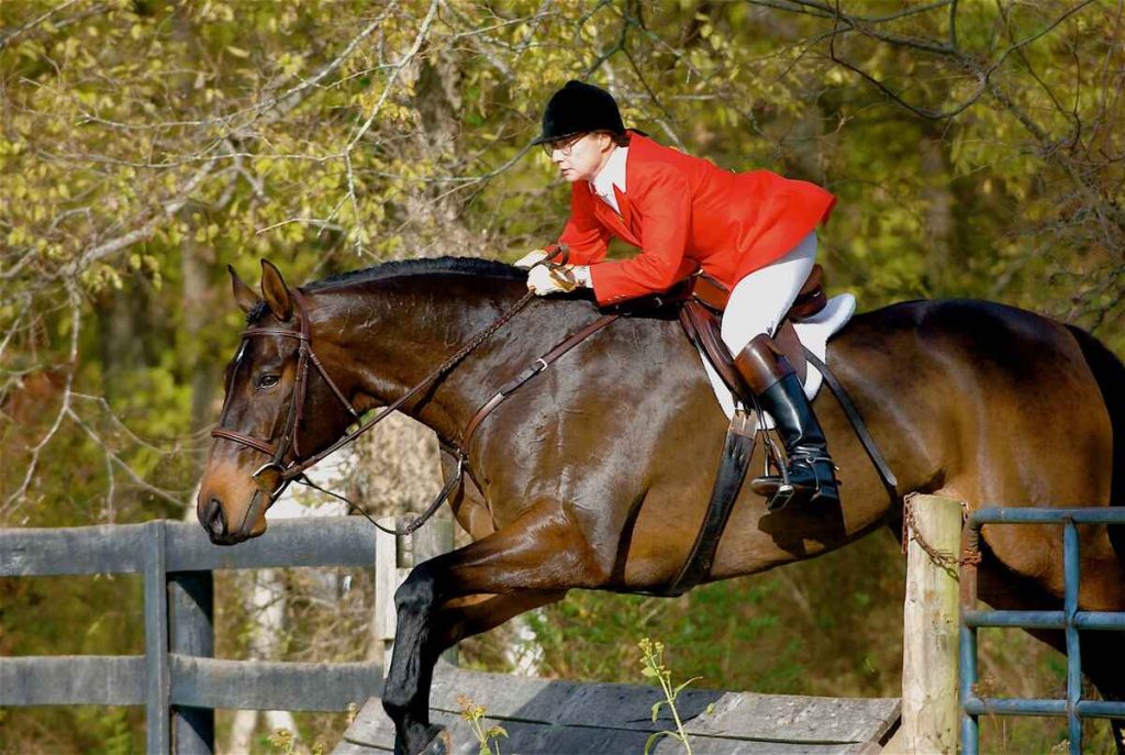 Master Feroline Higginson, woman in red hunt coat jumping a dark horse over a coop