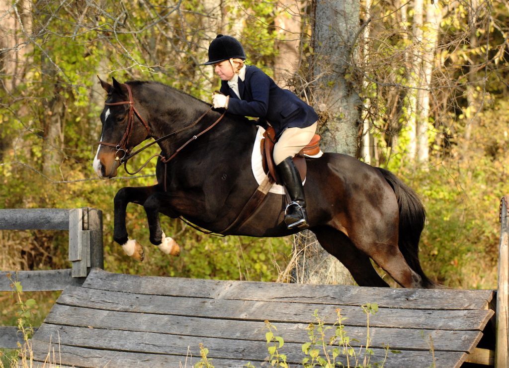 Master Kim Nash, woman in hunt attire jumping a horse over a coop