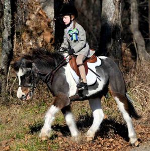 Junior riding a paint pony