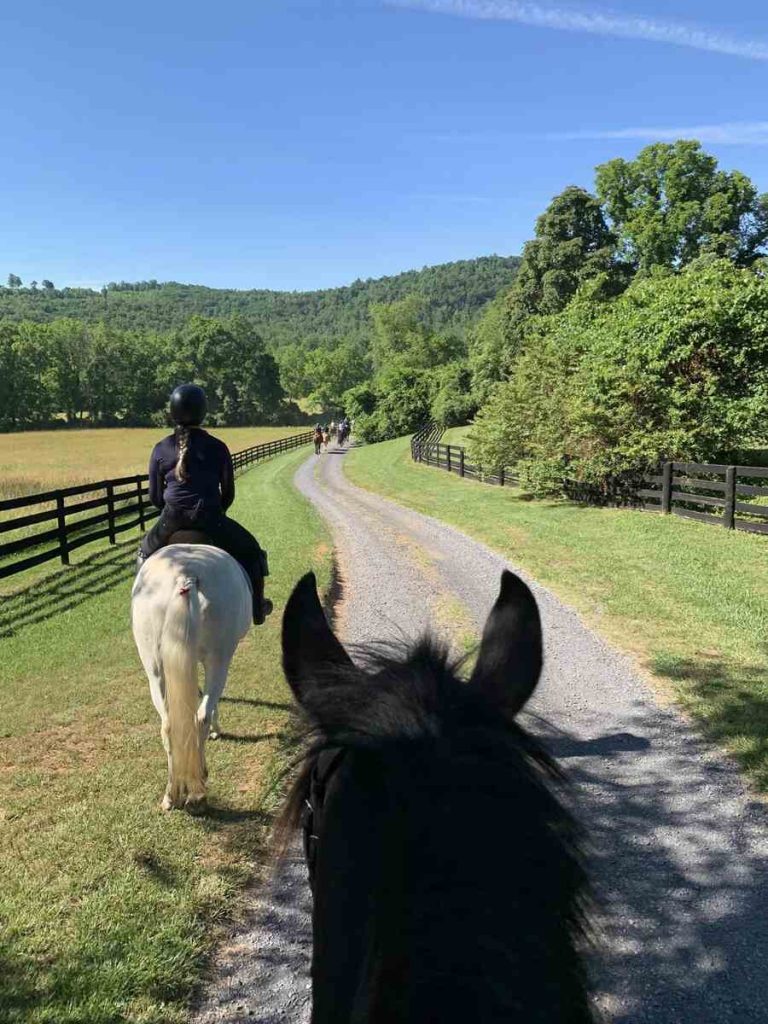 trail riders on path at Summerplace