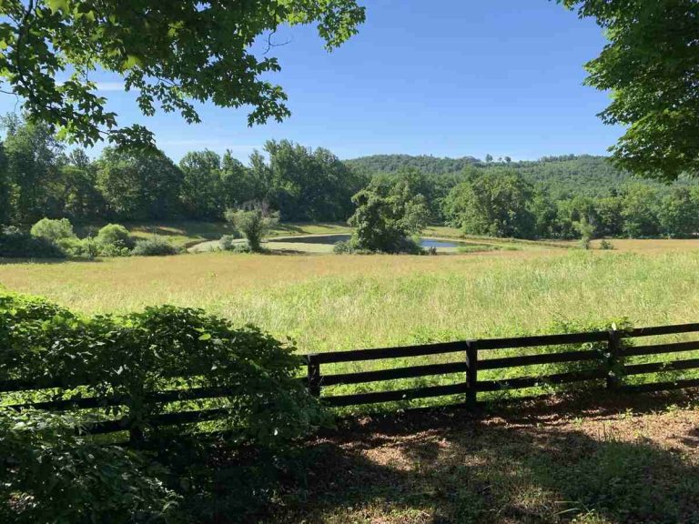 grassy field with board fence