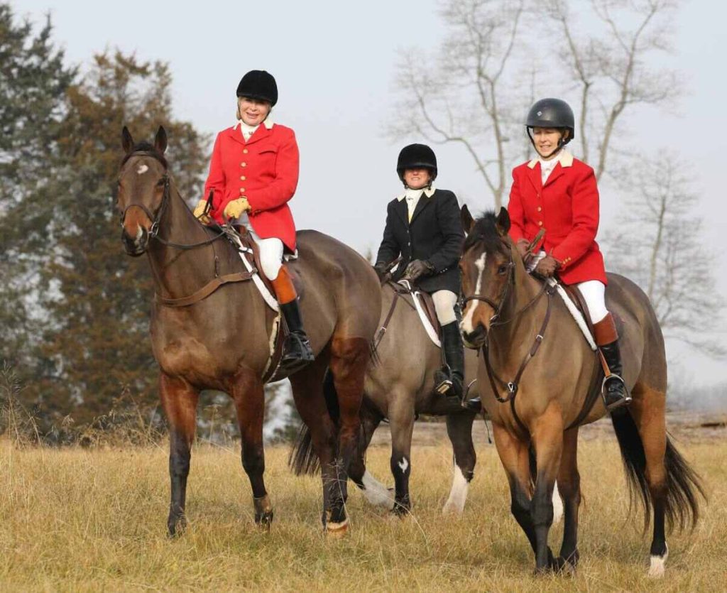 Three women in hunt attire riding horses.