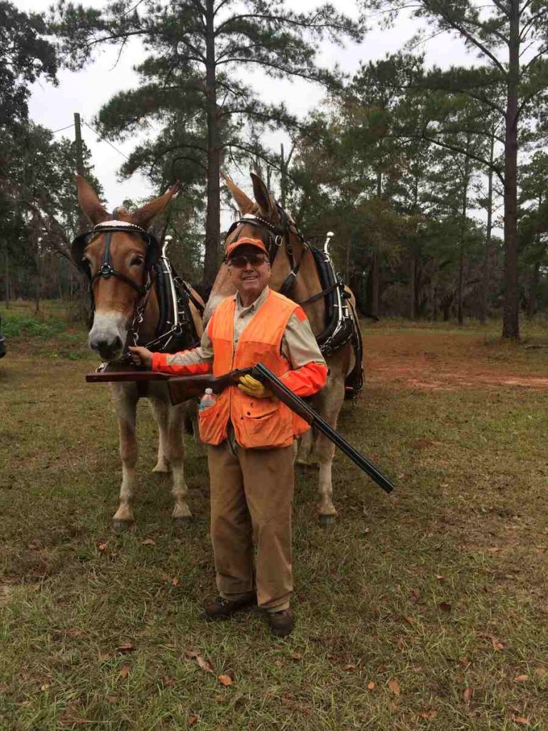 Man with mules